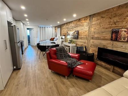 LAVAL DES RAPIDES – Studio Urbain Style Loft à Louer