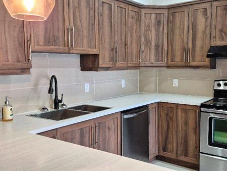 5 1/2 papineau et louvain