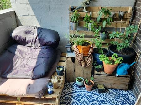 Studio à louer à Sherbrooke - Cession de bail - août 2026