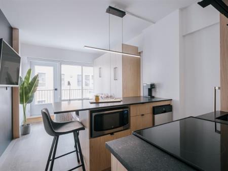 Loft entièrement meublé à louer Saint-Jean-Baptiste septembre 2026