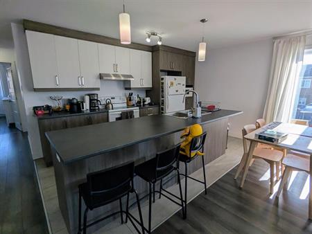 Immeuble - 1470 -1480 Rue Lionel-Giroux, Drummondville Grand 5 1/2 à Louer à Drummondville