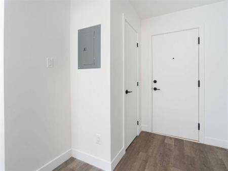 1 CH - 1 SDB - Montreal - $1,445 /mo