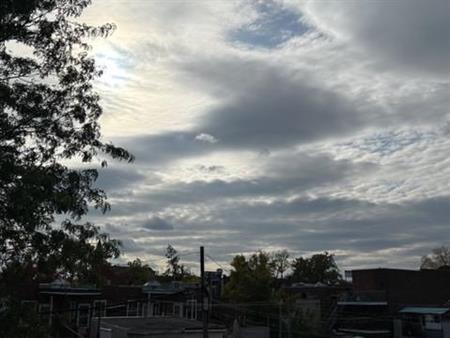 3 1/2 - Montréal - 1 750 $/mois