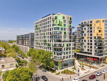 1 Bedroom - 7407 Rue Mountain-Sights, Montréal