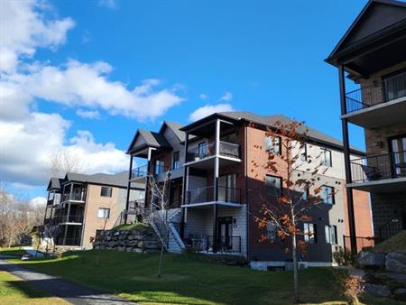 6 1/2 Secteur Rock Forest