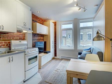 Loft entièrement meublé à louer Saint-Jean-Baptiste août 2026