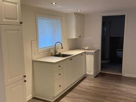 NOUVEAU ROSEMONT LOFT TOUT INCLUS