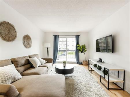 3.5 Lumineux A Louer