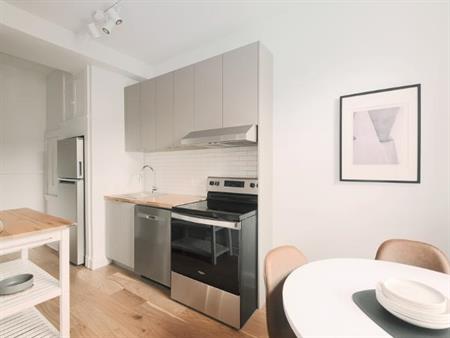 Loft entièrement meublé à louer Montcalm / Saint-Sacrement février 2026