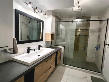 3 1/2 logement juin-juillet