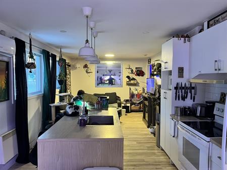 Grand 4 1/2 Sur 2 étages