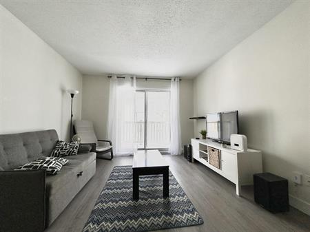 Antoine-du Verdier Appartement 3 ½ à Louer Sainte-Foy / Sillery Septembre 2026