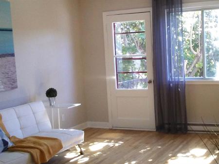 Grand 4 ½ Lumineux Rénovations Récentes