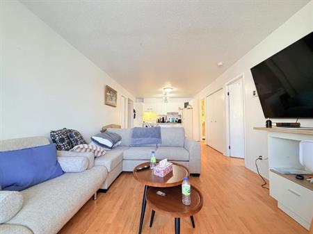 Appartement 3 ½ à louer Sainte-Foy / Sillery juillet 2026