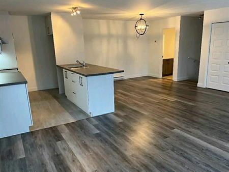 Condo sur 2 étages, (WIFI inclus)