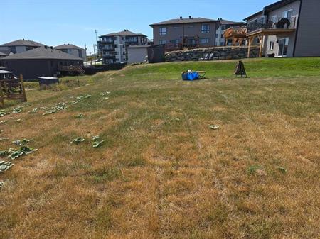 Logement 4 1/2 a louer au 895 Rue Ells Sherbrooke