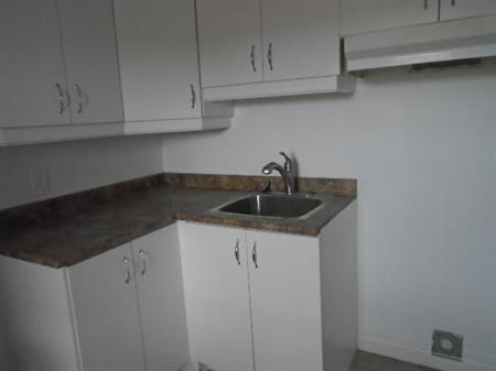 5 ½ 1483 rue Dufresne et Maisonneuve Montréal LIBRE