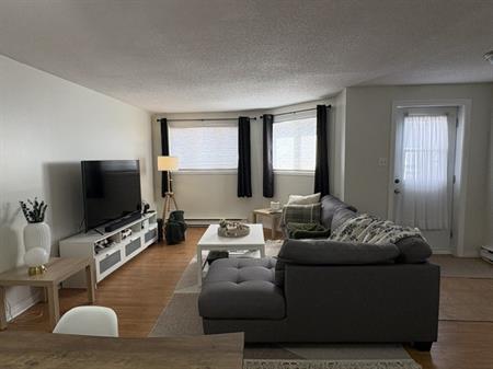 4 1/2 Gatineau - Grand Demi Sous-sol