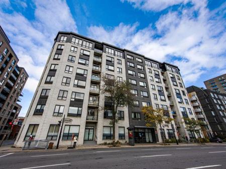 3 1/2 - Montréal (Ville-Marie (Centre-ville)) - 1 500 $/mois