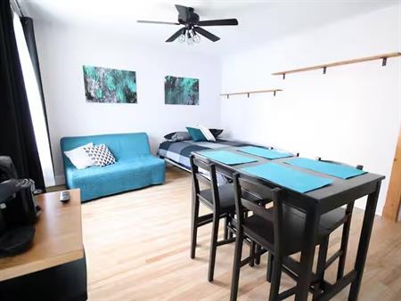Logement Lumineux Et Fonctionnel.