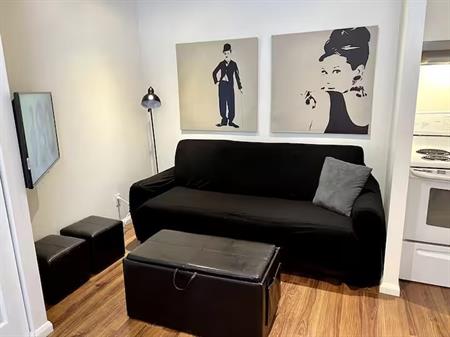 Logement Lumineux Et Fonctionnel