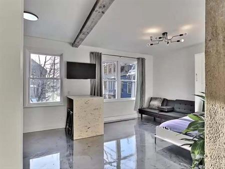 Logement Lumineux Et Fonctionnel.