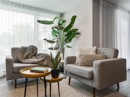 1 Bedroom - 235 Cuvillier Street West, Longueuil