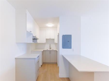 Appartement 3 1/2 à louer Brossard