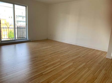 Logement Très Lumineux