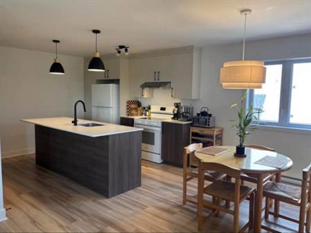 Ste-Anne-des-Plaines Grand 4 1/2 Neuf