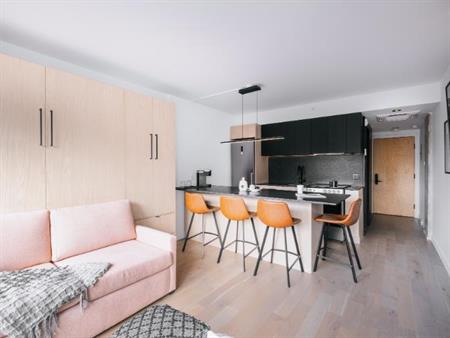 Loft entièrement meublé à louer Saint-Jean-Baptiste septembre 2026