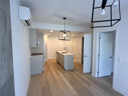 Beau 3 1/2 dans immeuble avec ascenseur