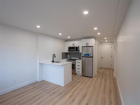 Studio - 3915 Rue Masson, Montréal