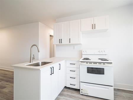Studio, Full - 8281 Avenue Des Vendéens, Anjou