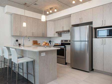 1 Bed 1 Bath B - 3400 Boulevard Saint-Elzéar W, Laval