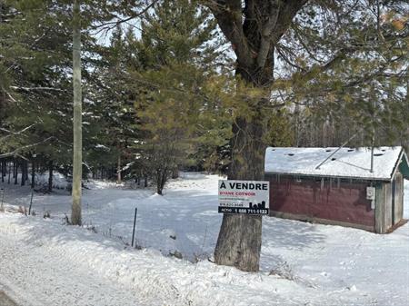 Estrie: terre à Dudswell à vendre, à seulement ± 30 minutes de Sherbrooke | 53,7 ha (132,8 acres).