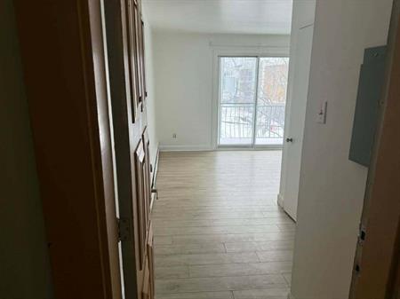 Magnifique Studio (1 ½)