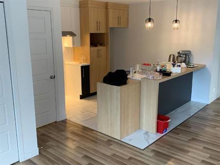 Superbe logement 5 1/2 à St-Nicolas, 2ème étage, climatisé, 2 STATIONNEMENTS EXTÉRIEURS INCLUS, LIBRE LE 1IER JUILLET 2026