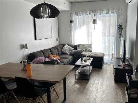 3 1/2 Neuf, Ascenseur, Gym, Clim Et +