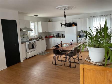 41/2 grand et lumineux 2ème étage dans triplex pour personne seule 50 ans et plus tranquille références et enquête exigées.