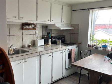 petit studio ,Sainte Adele, electriciter fournie ,parking deneiger, 750