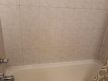 Logement à Louer