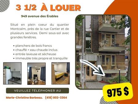 3 1/2 dans le quartier Montcalm (demi sous-sol)