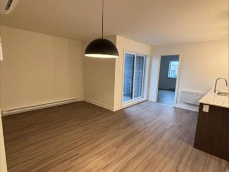 3 CH - 1 SDB - Saint-Hyacinthe - $1,600 /mo