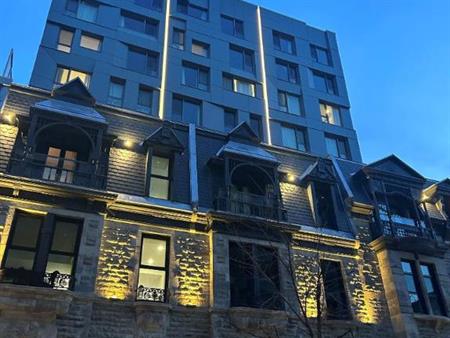 Studio - Montréal - $1,565 /mo