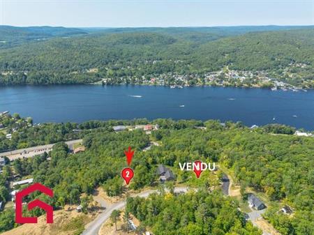 Terrain