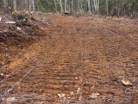 Terrain hautes Laurentides