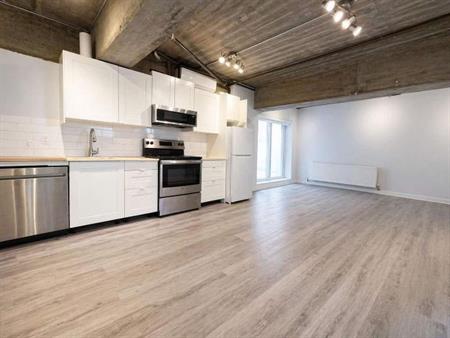 3 CH - 1 SDB - Montréal - $2,250 /mo