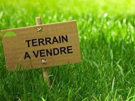 Terrain