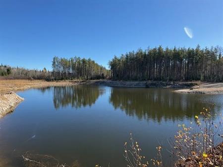 Petit Lac privé + acces Lac Croche , poss. sub. en 4 terrains.